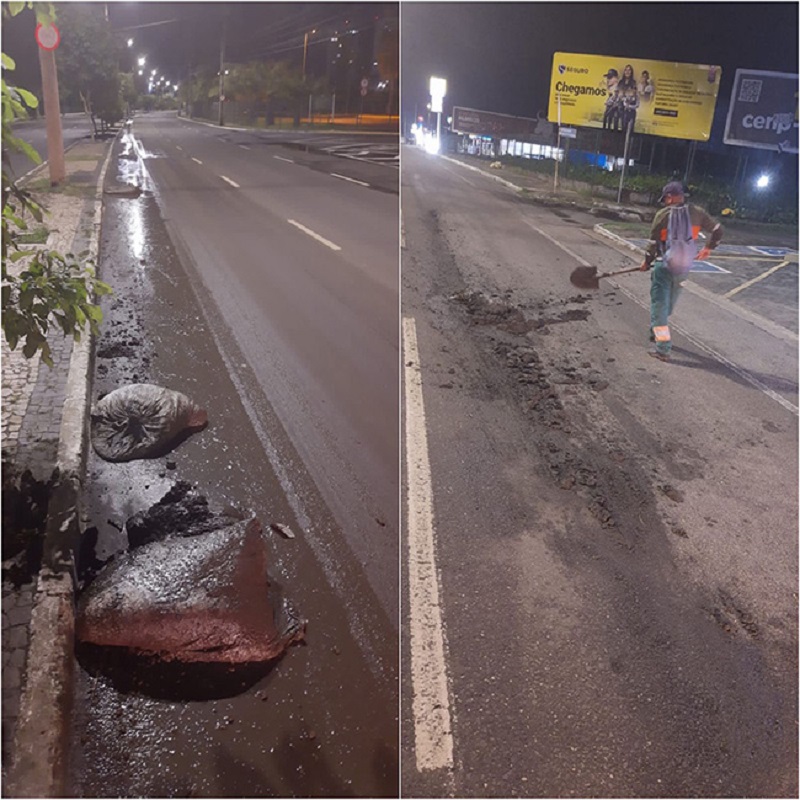 Dejetos de animais são despejados na Avenida Raul Lopes