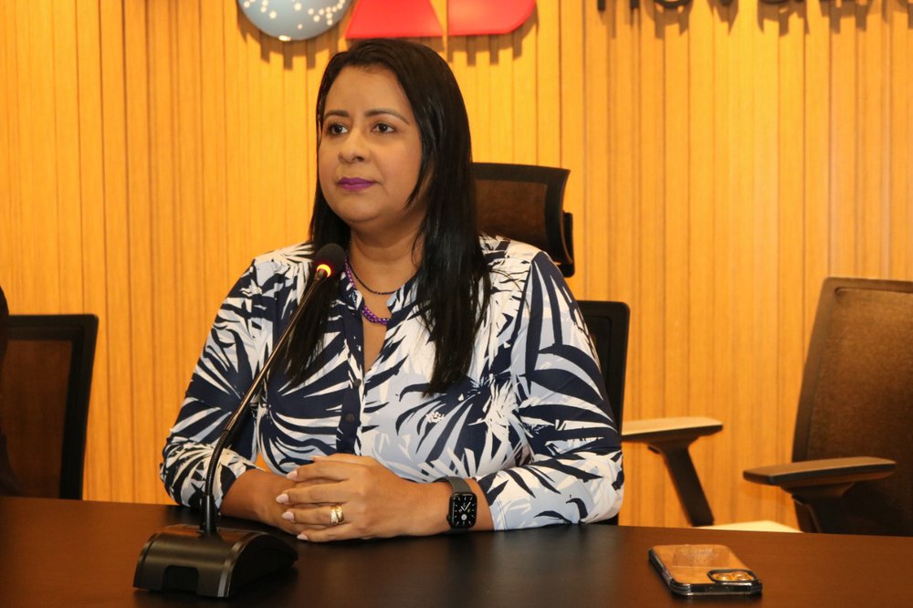 vice-presidente da Ordem, Daniela Freitas (Foto: Divulgação/OAB-PI) vice-presidente da Ordem, Daniela Freitas (Foto: Divulgação/OAB-PI)