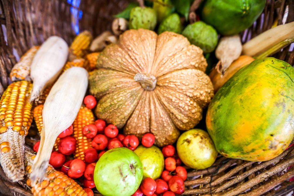No dia 16 de outubro, é comemorado o Dia Mundial da Alimentação.