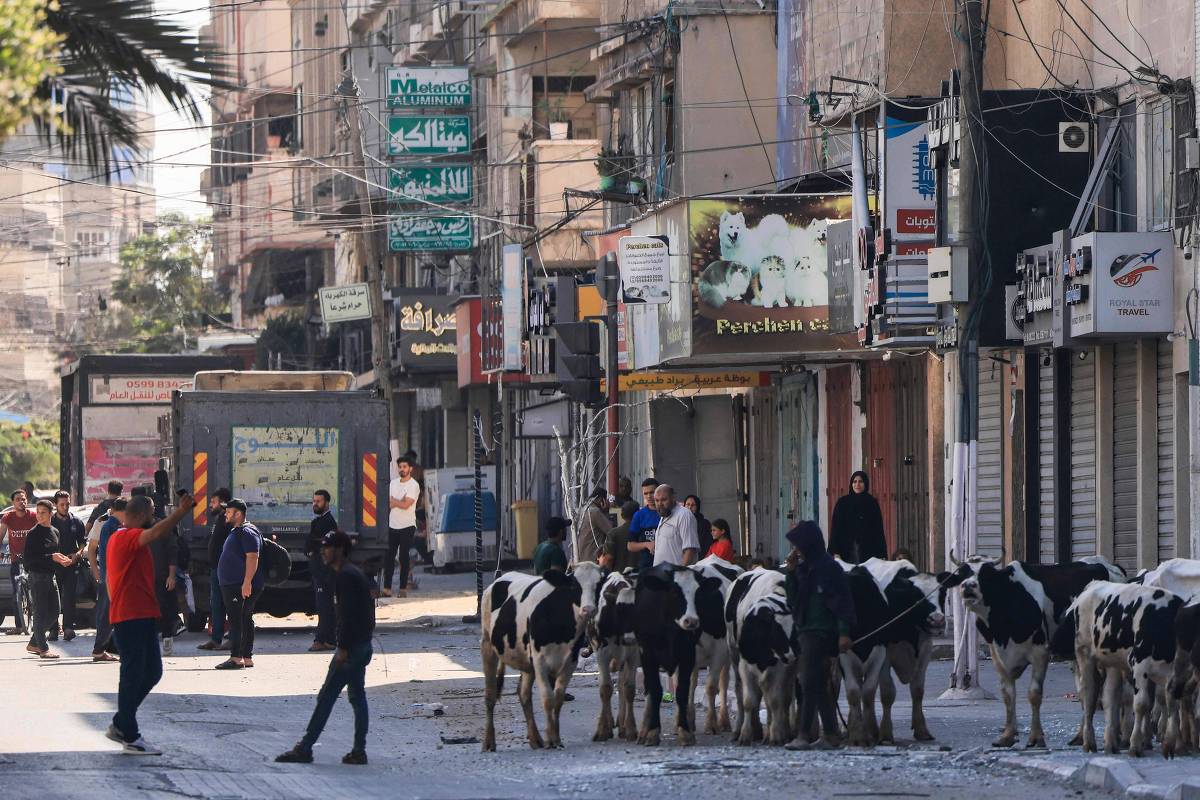 Palestinos tentam achar abrigos na Cidade de Gaza após ataques aéreos israelenses.