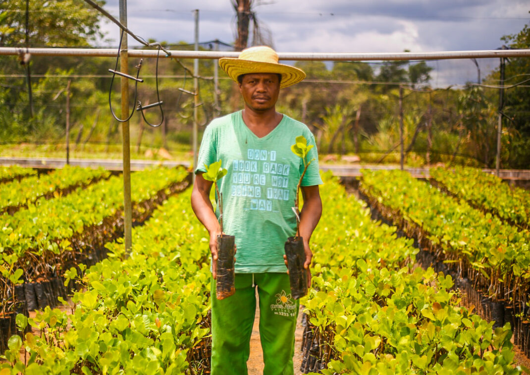 Agriculturaa Familiar em destaque no Piauí