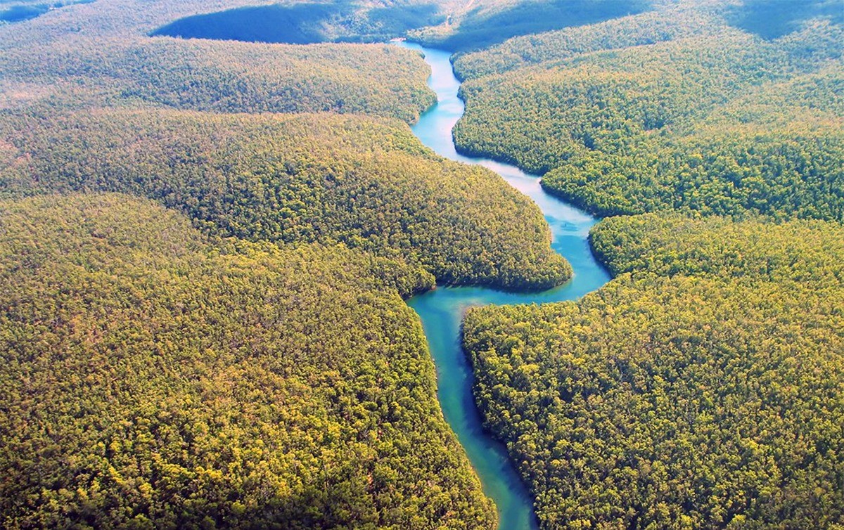 Desmatamento na Amazônia cai 31% em 5 (cinco) meses