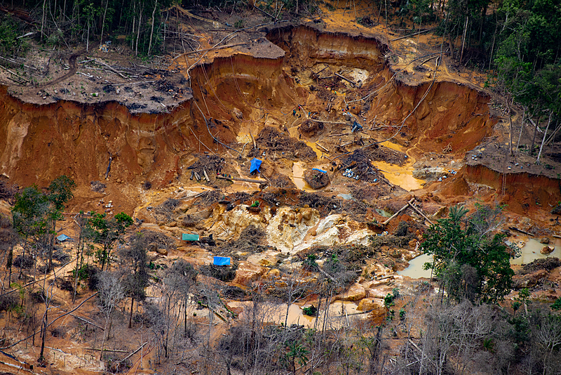 Garimpo ilegal na Amazônia é um dos maiores responsáveis pelo desmatamento na floresta tropical