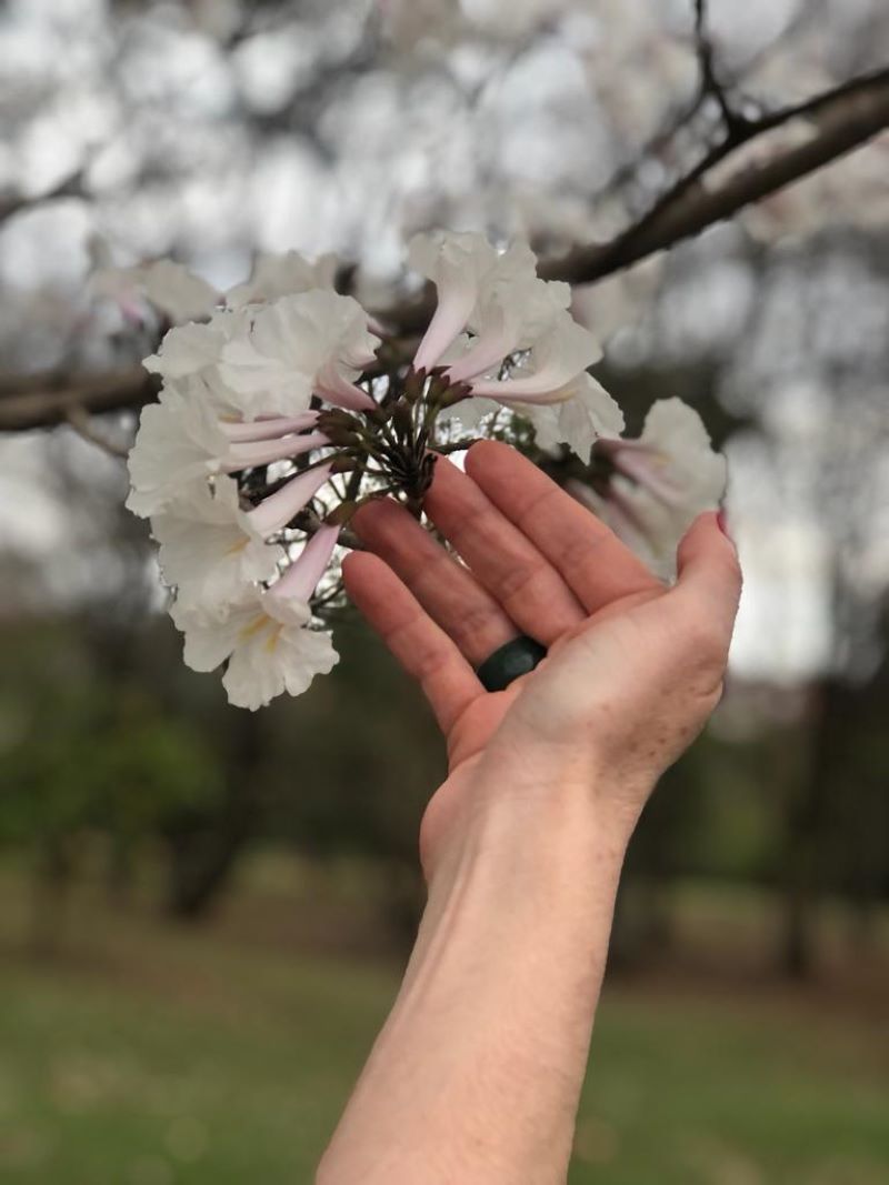 Lutar contra todas a formas de violência obstétrica é dever de todos nós!