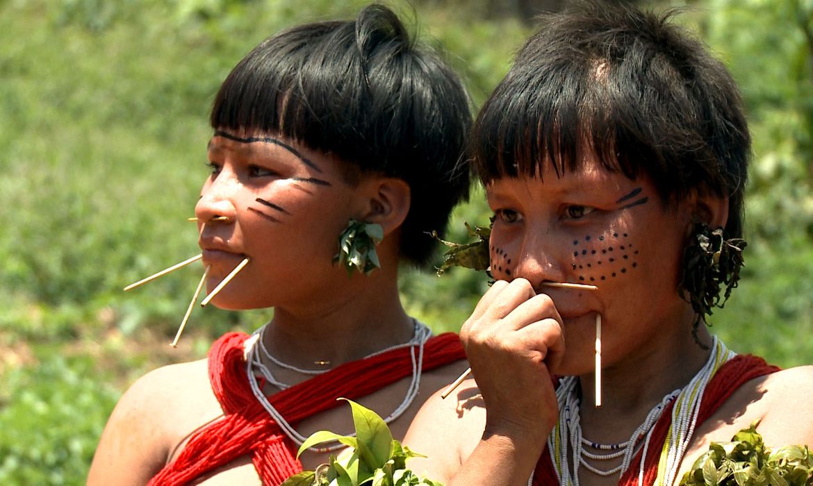 De acordo com o Censo Demográfico, o maior contingente de populações indígenas foi encontrado nas regiões norte e nordeste do país