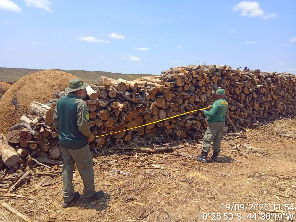 Operação Nacional Mata Atlântica em Pé no Piauí, em parceria com o Instituto Brasileiro do Meio Ambiente e dos Recursos Naturais Renováveis (Ibama).