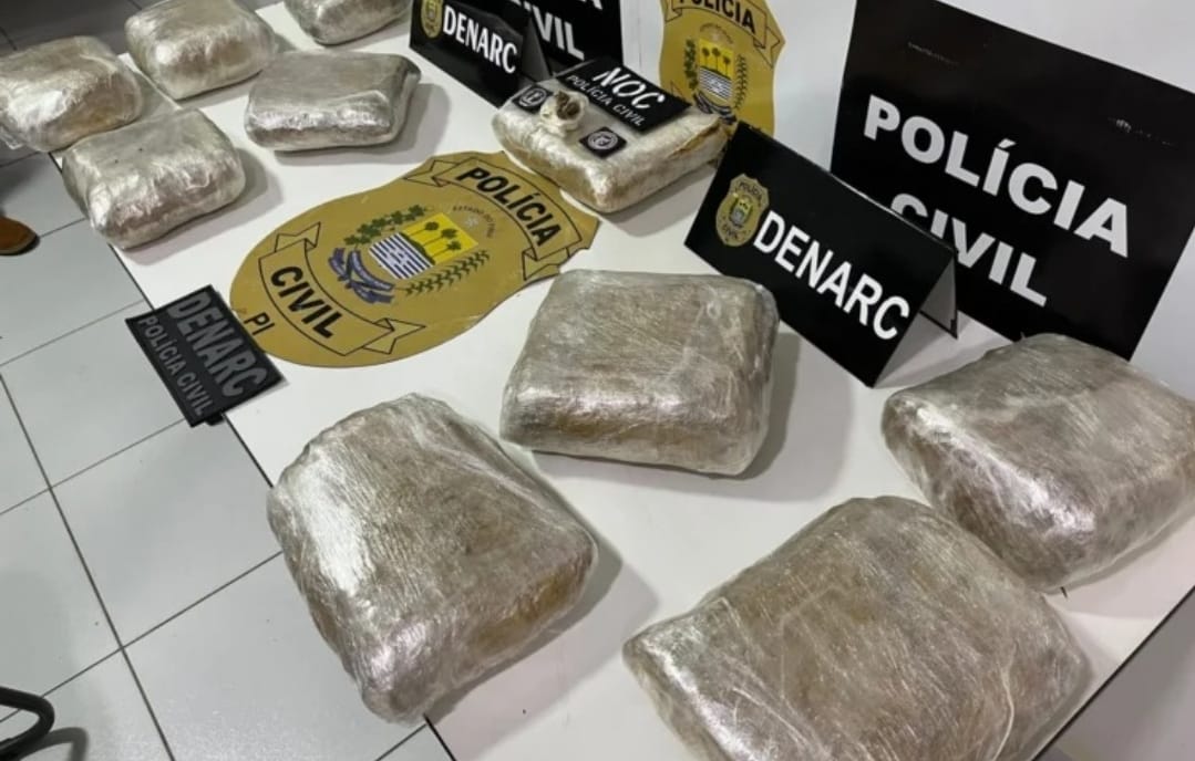 Denarc deflagra ‘Operação 08’ e apreende 10kg de drogas em Teresina