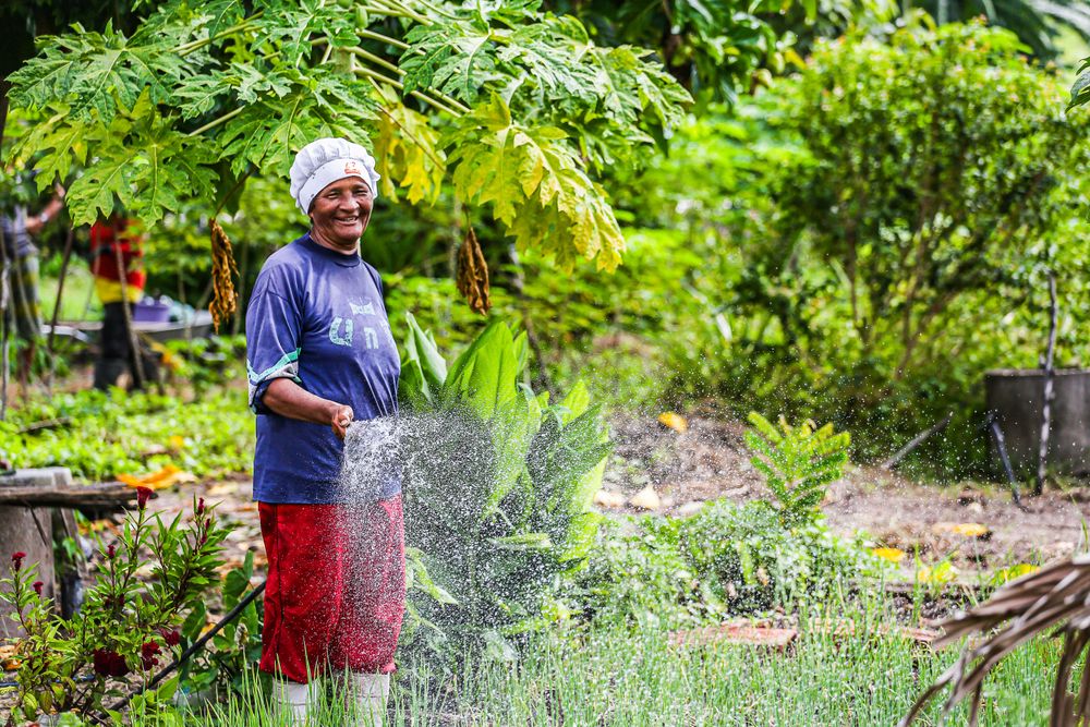 Mulher agricultora contribuindo para o crescimento econômico do Piauí