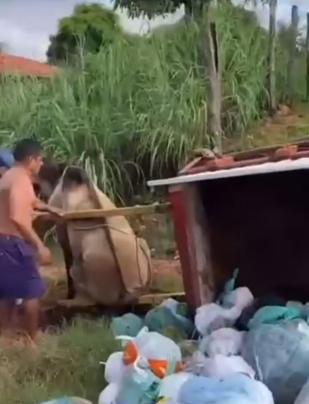 A carroça virou, resultando em uma queda violenta para o cavalo