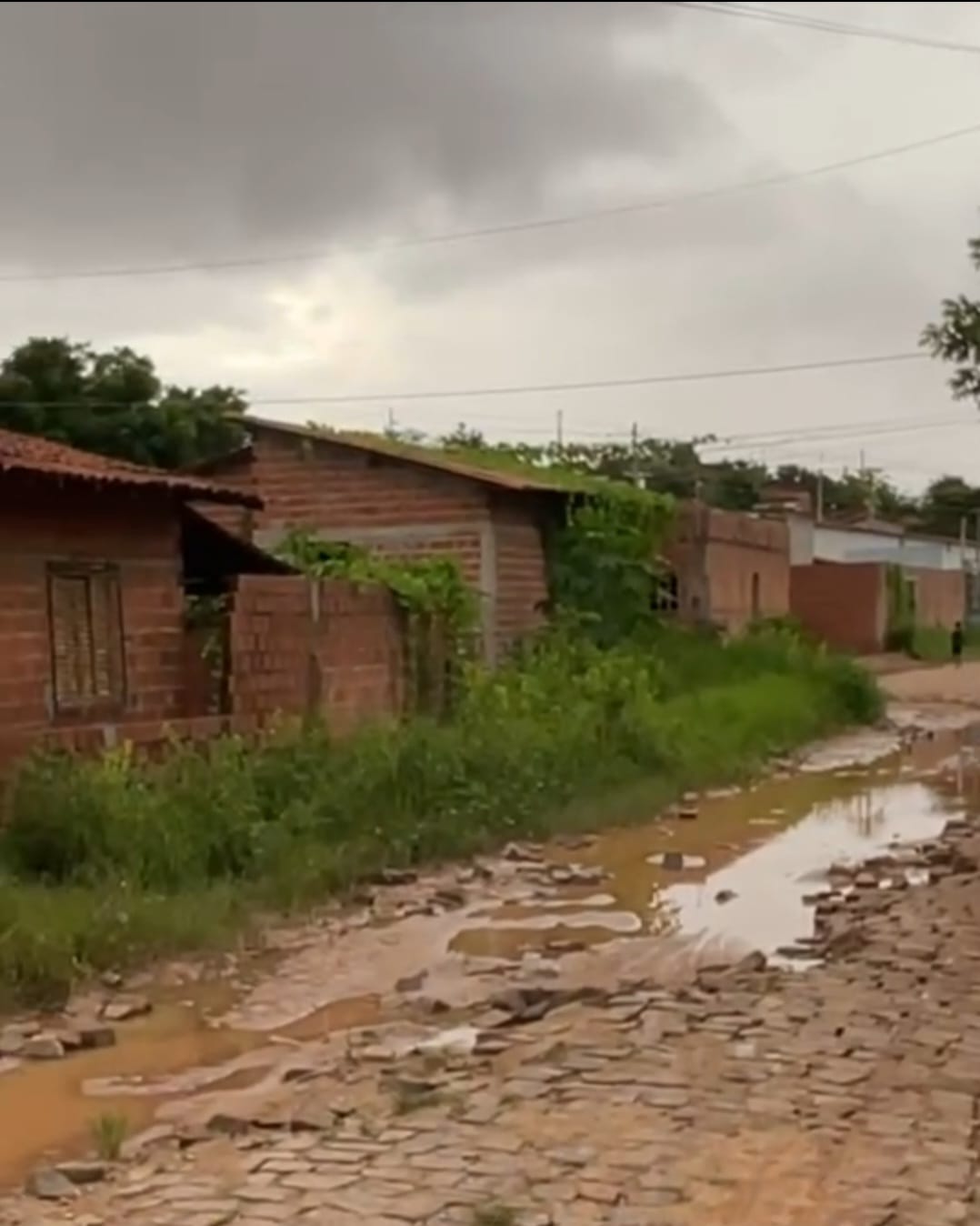 Condições precárias do bairro Parque Vitória