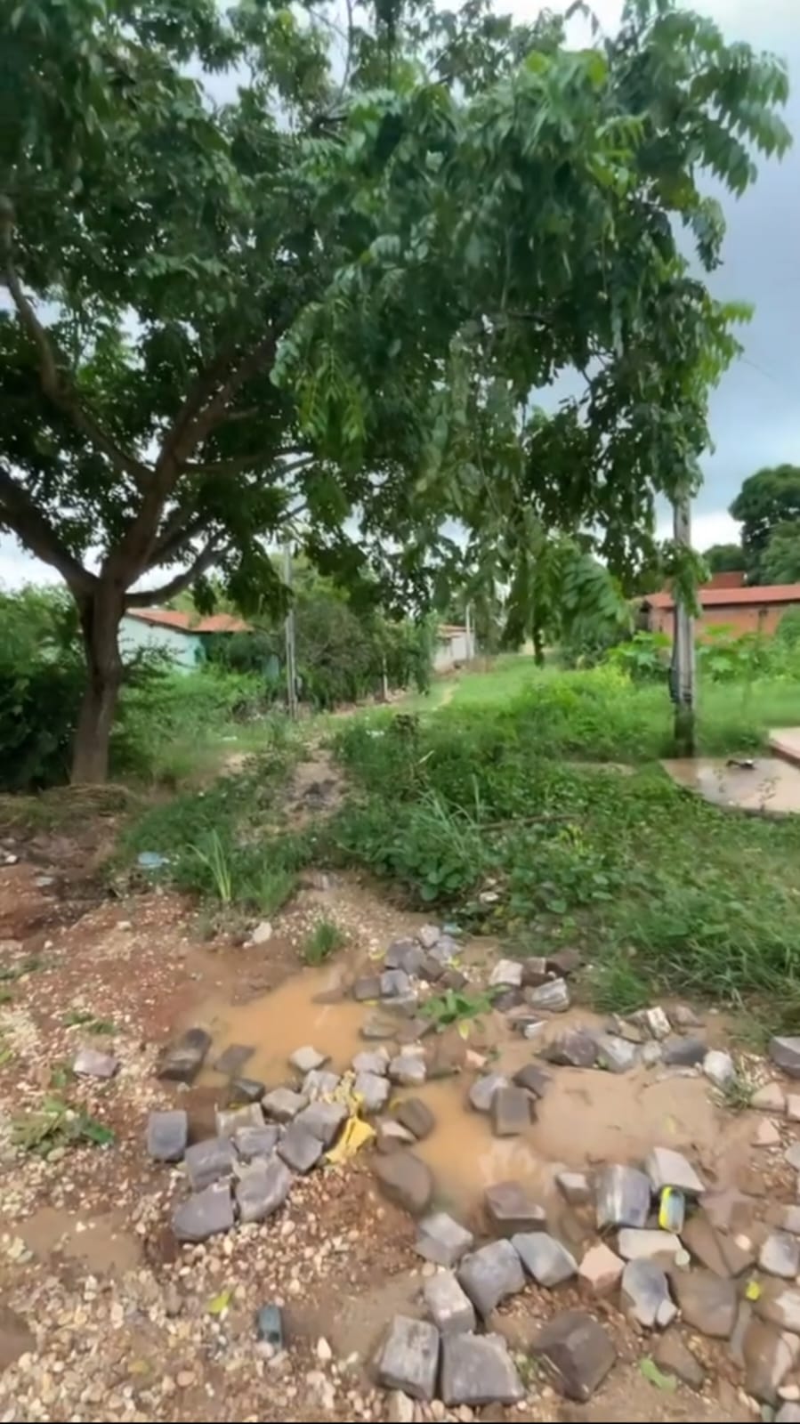 Condições precárias do bairro Parque Vitória