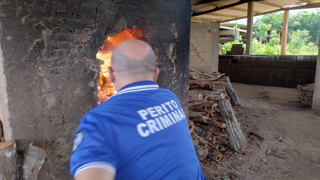 Polícia Civil incinera cerca de 25kg de drogas apreendidas no litoral piauiense