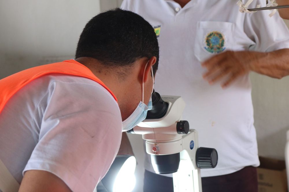 Reeducandos da Penitenciária Irmão Guido participam de ação de combate à dengue