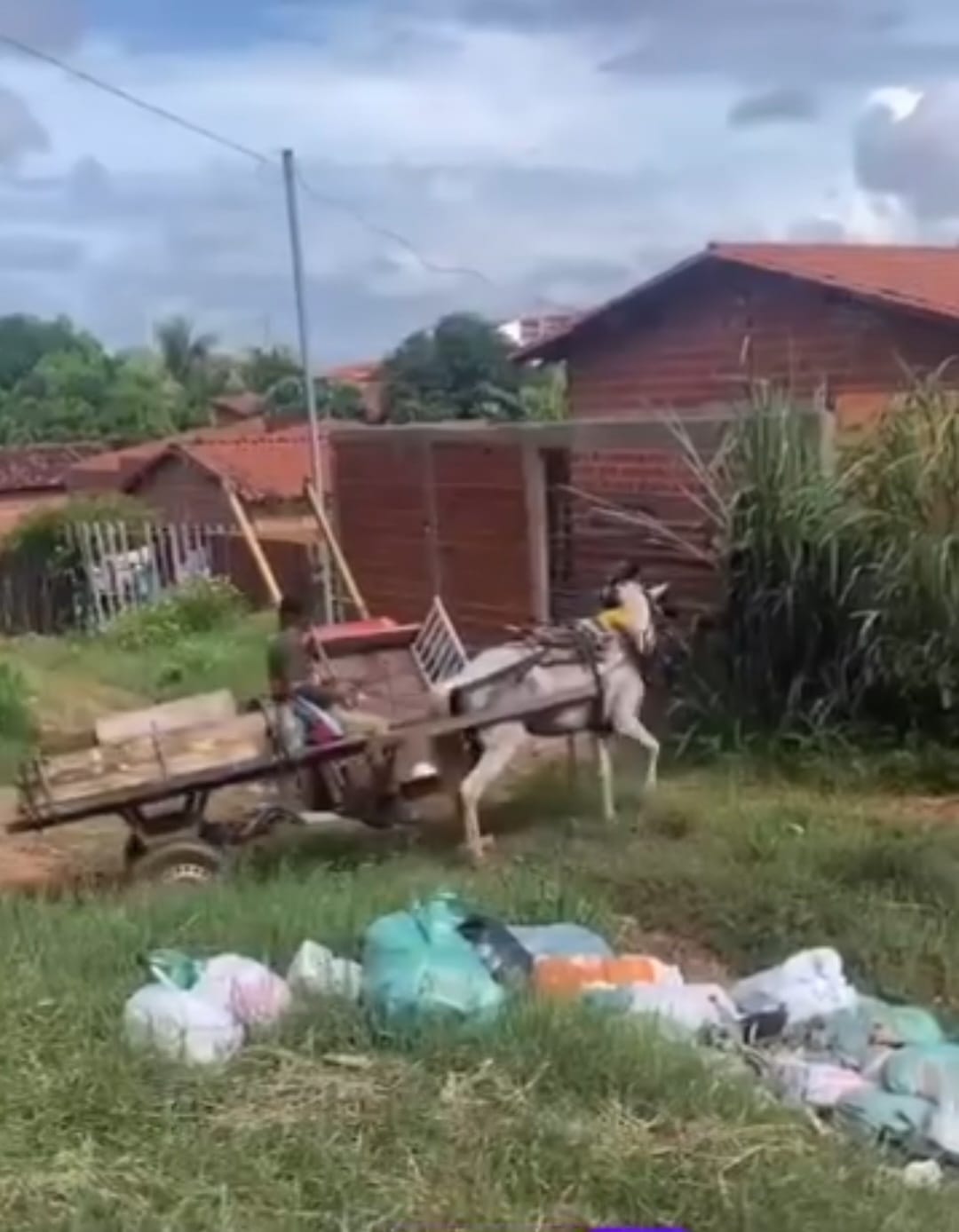 Um cavalo exausto e sobrecarregado puxa uma carroça