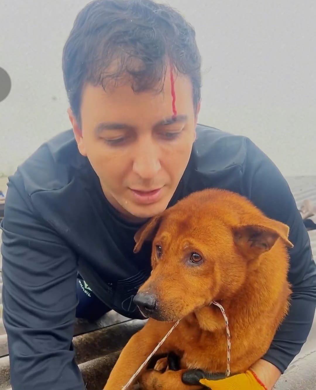 Deputado Federal socorre cachorro em enchente no RS e sofre mordida no ato
