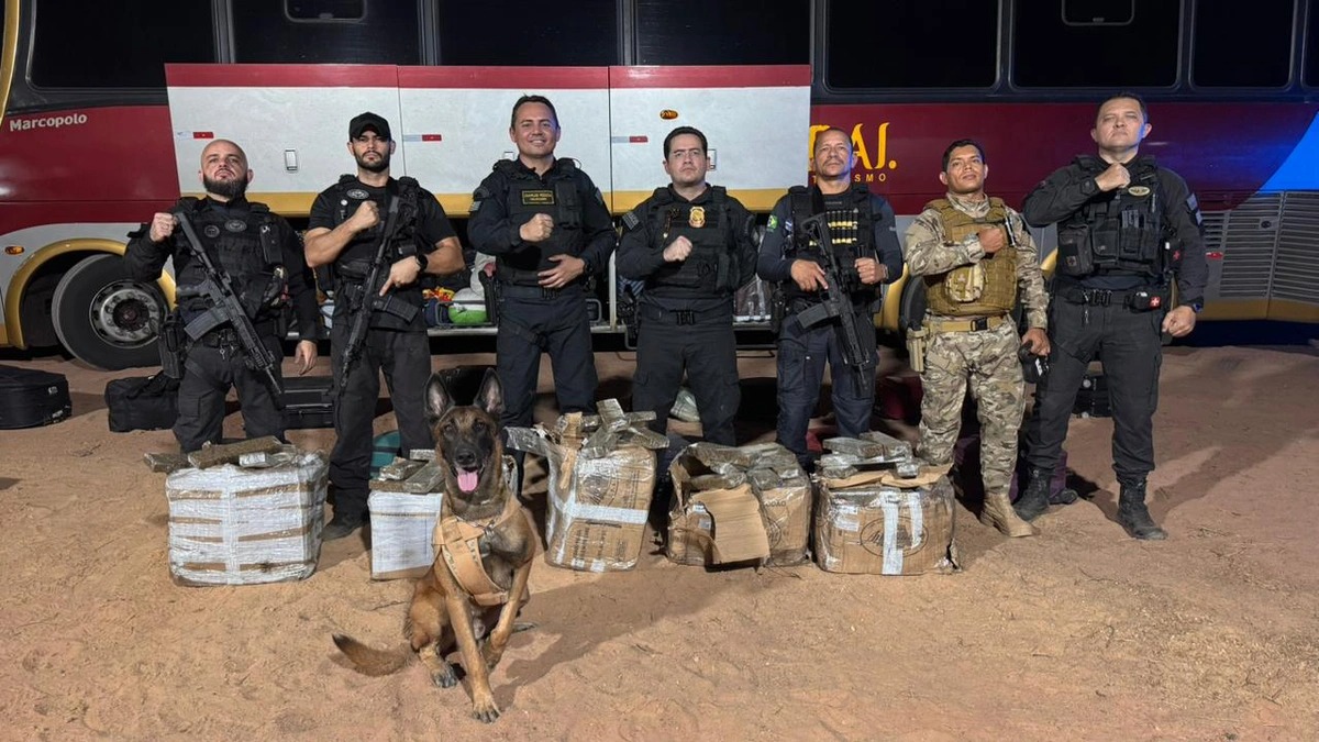 Droga apreendida pelo DRACO e equipes da Polícia Militar do Piauí