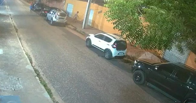 Advogada é acusada de arremessar cachorro por cima do muro da casa de ex-companheira em Teresina