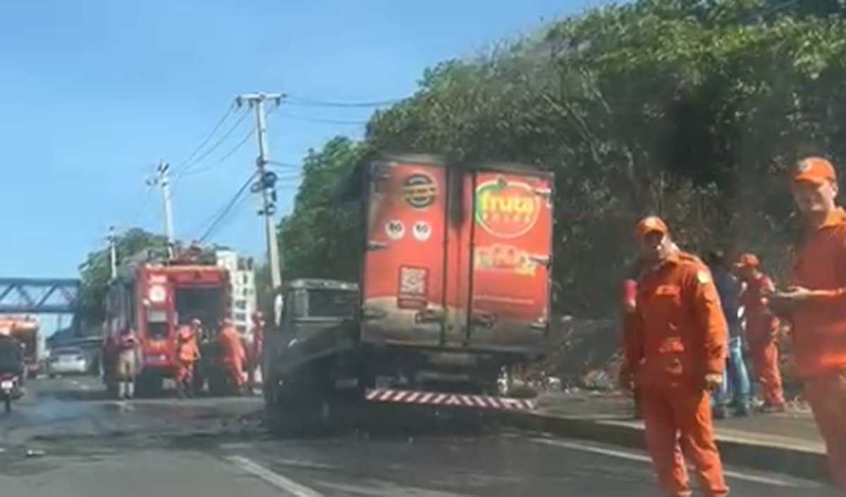 Caminhão com polpas de frutas pega fogo e fica totalmente destruído na BR 316 em Teresina