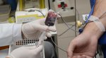Especialista ressalta que doação de sangue continua sendo essencial para salvar vidas