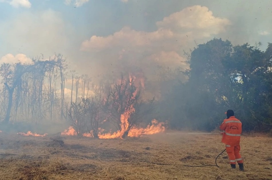 Incêndio florestal