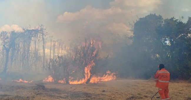 Incêndio florestal de grandes proporções é controlado após cinco dias no Sul do Piauí