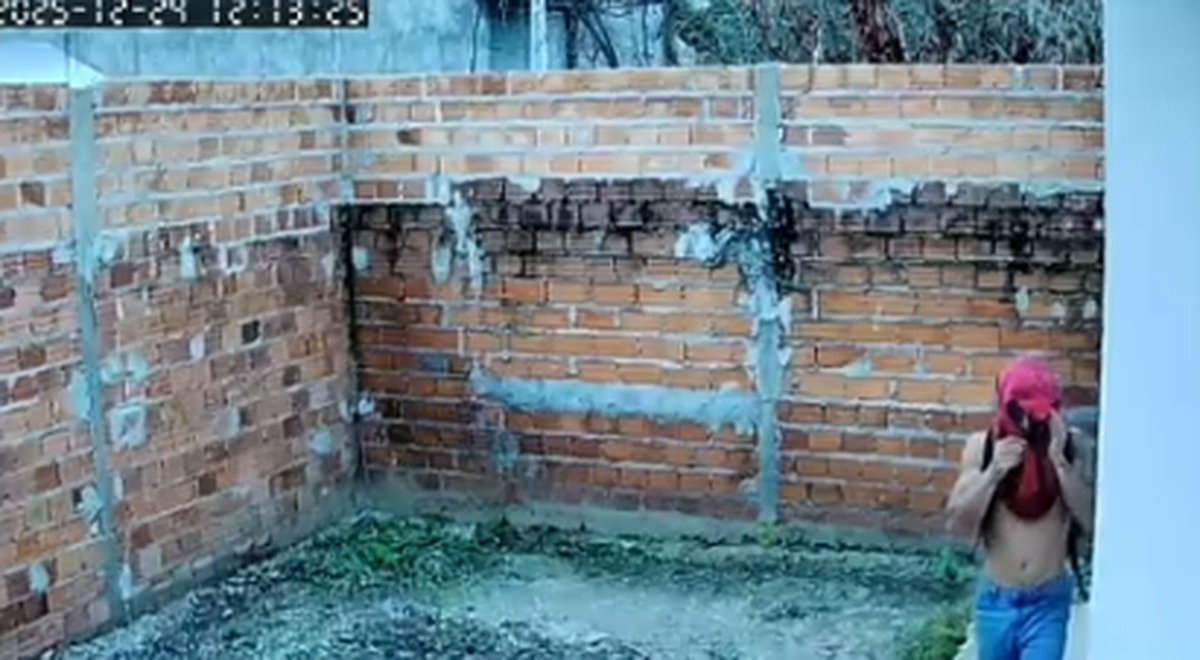 Câmera flagra criminoso arrombando casa na zona leste de Teresina