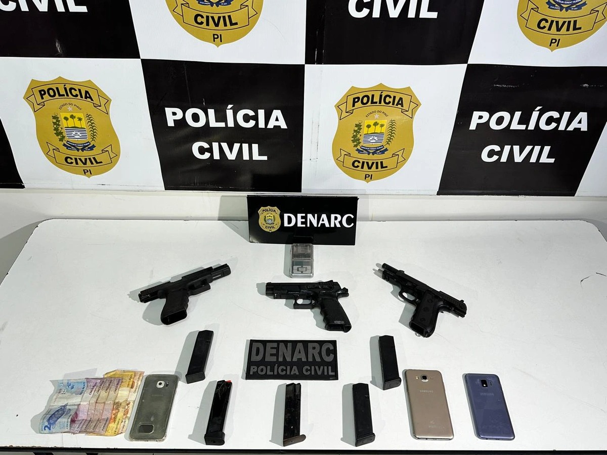 Armas de fogo apreendidas pelo DENARC durante operação