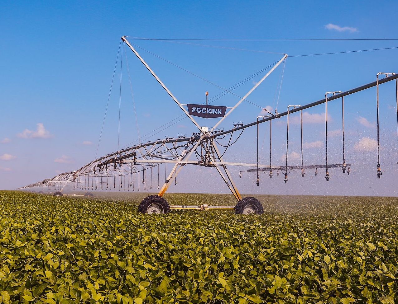 Baixa Grande do Ribeiro é o 22º município mais rico do Brasil no agronegócio