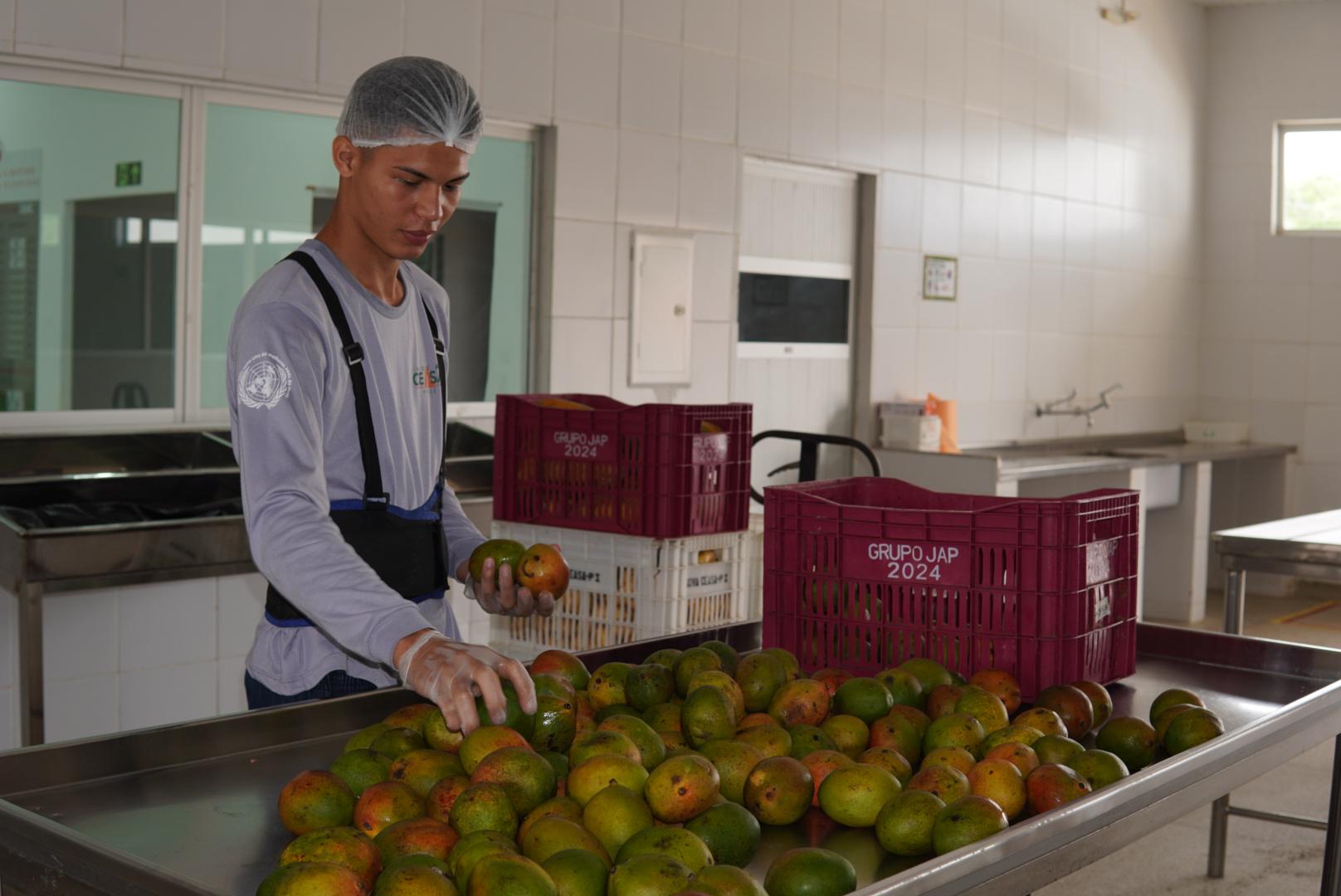 Banco de Alimentos da Nova Ceasa
