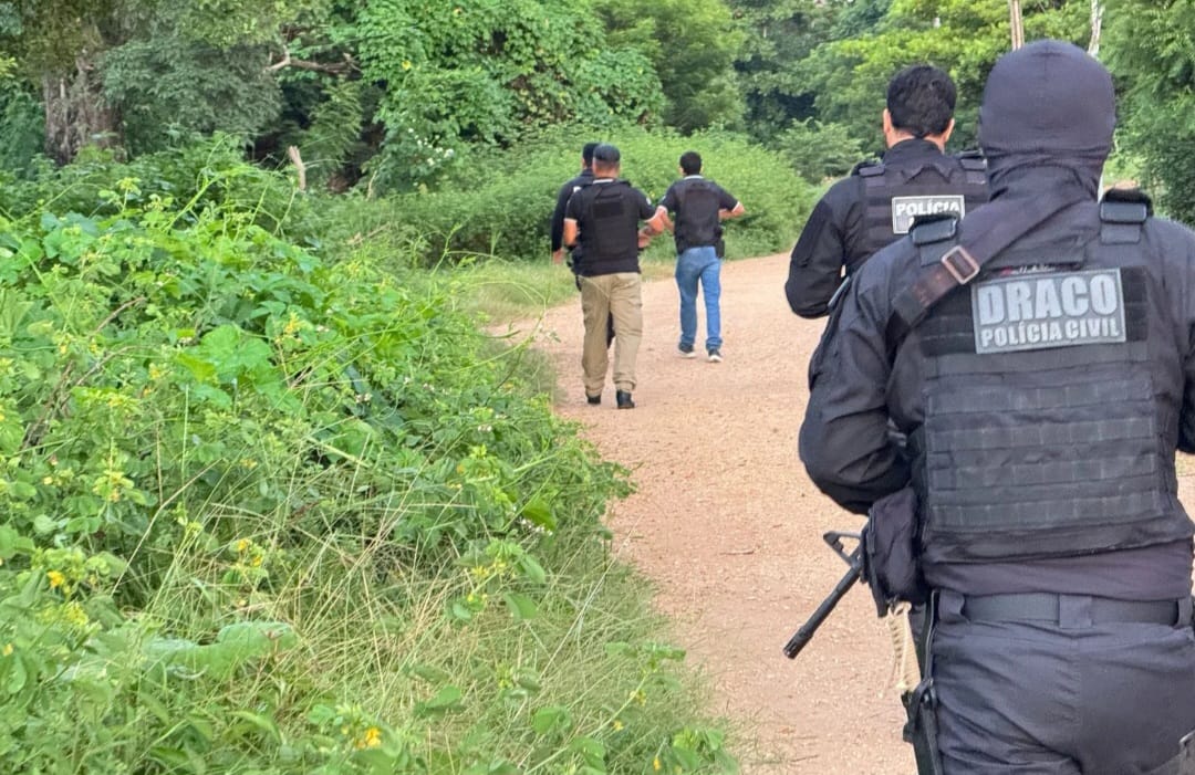 Operação DRACO 203