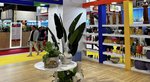 Piauí participa da feira WTM Latin America e fortalece conexões com importantes mercados do setor