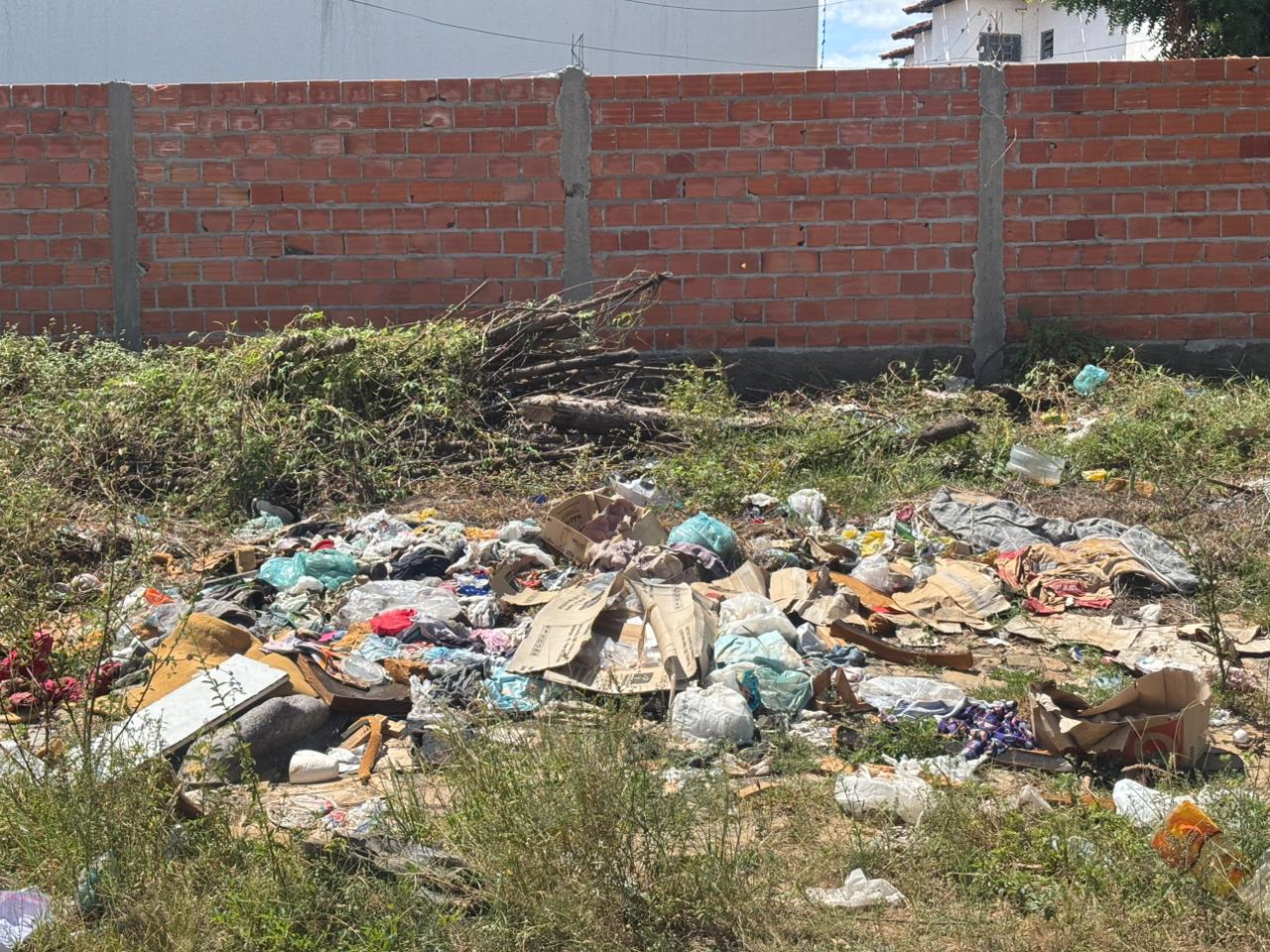 Sujeira espalhada por vias públicas expõe moradores a riscos de doenças e desconforto diário.