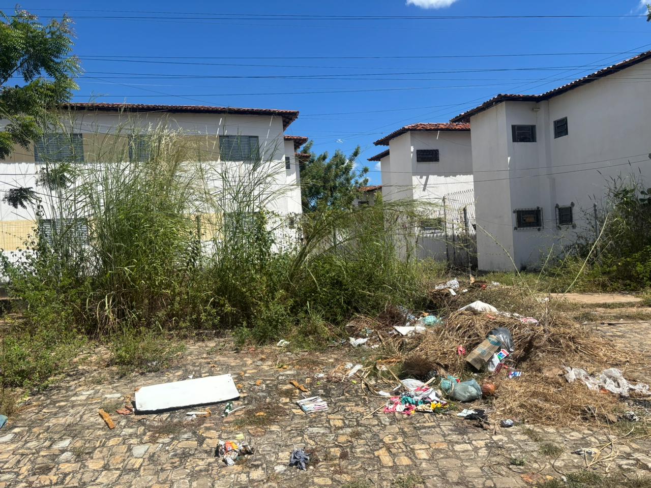 Sujeira espalhada por vias públicas expõe moradores a riscos de doenças e desconforto diário.