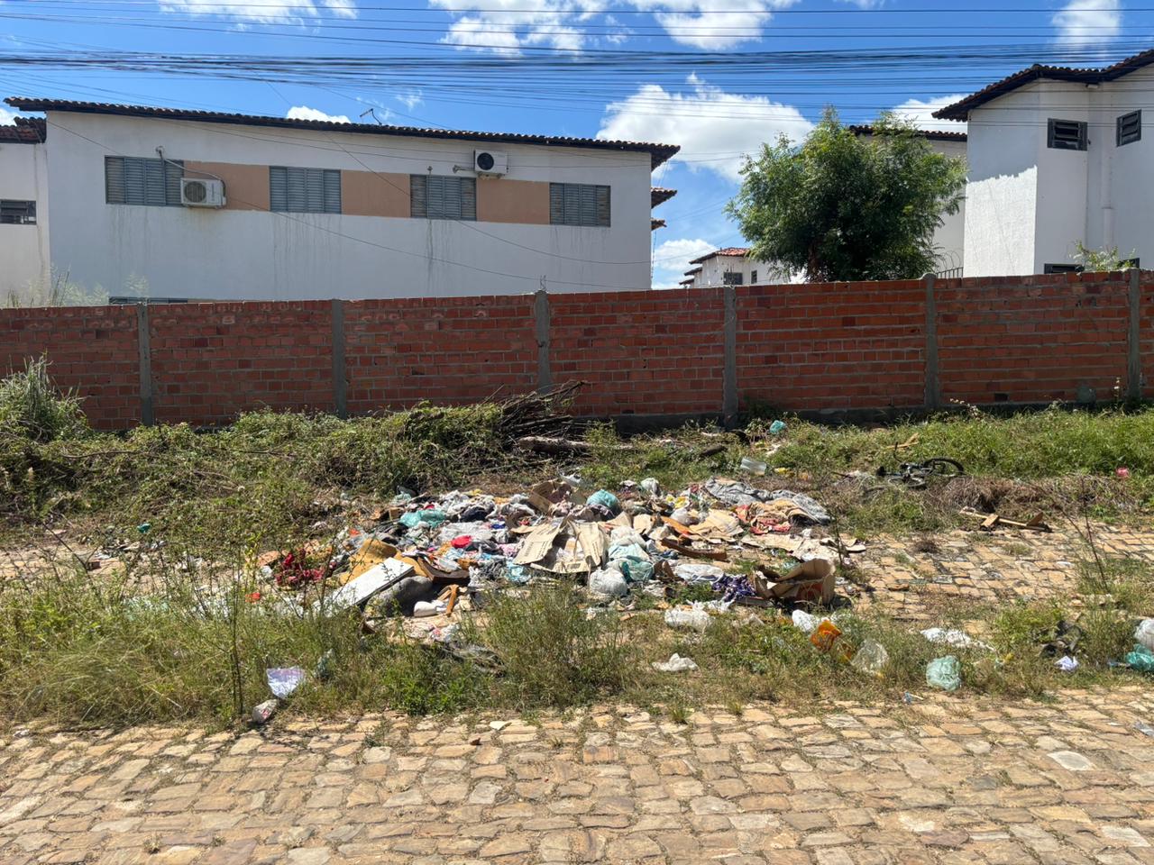 Sujeira espalhada por vias públicas expõe moradores a riscos de doenças e desconforto diário.