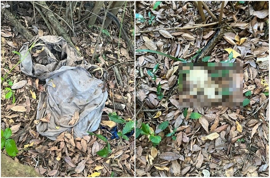 Ossada humana é encontrada