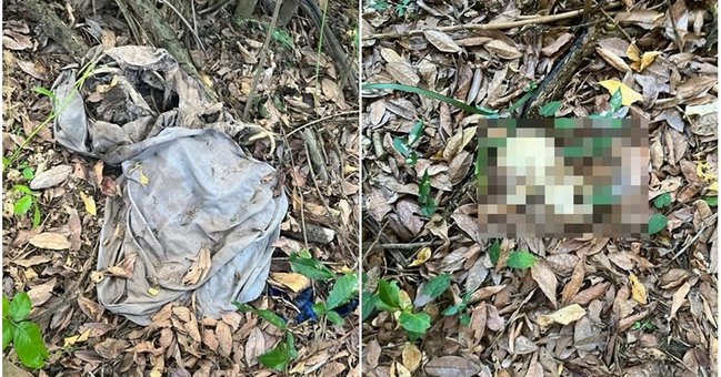 Ossada humana é encontrada próximo à Ponte da Amizade em Teresina