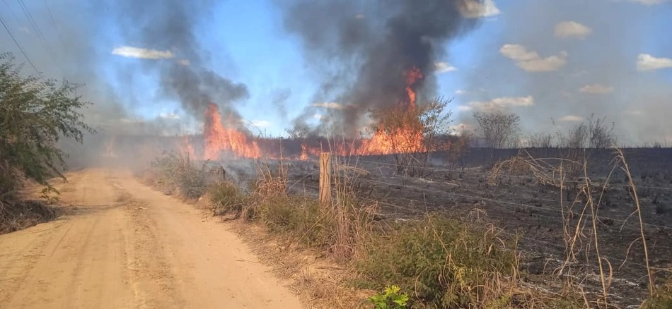 Incêndio de grandes proporções destrói quatro hectares de vegetação no Sul do Piauí
