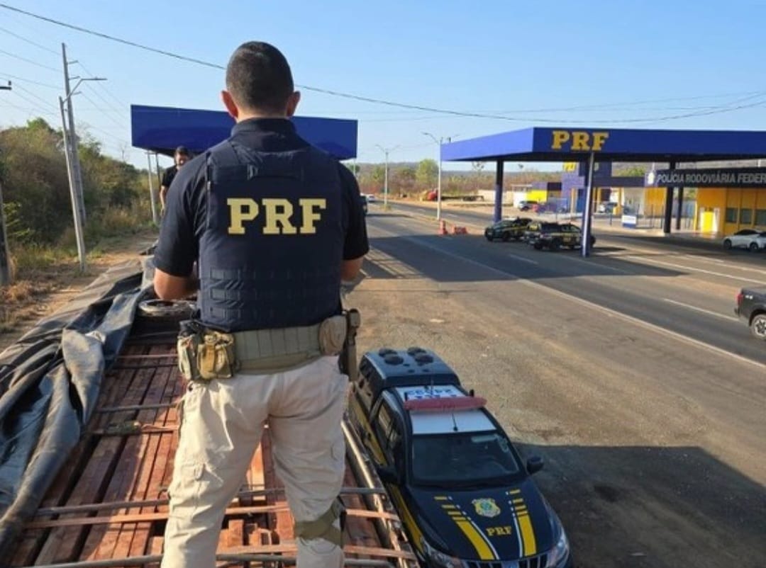 PRF apreende madeira nativa transportada sem licença ambiental em Teresina