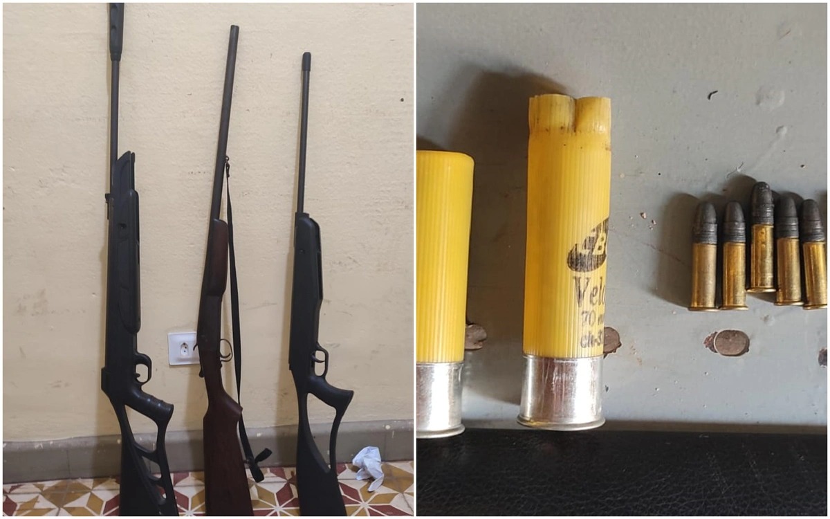 Espingardas e rifle foram encontrados na casa do acusado de matar cachorro a tiros
