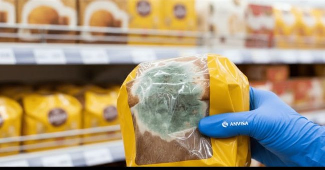 Anvisa manda retirar panetones do mercado e proíbe alimentos com cogumelos não autorizados